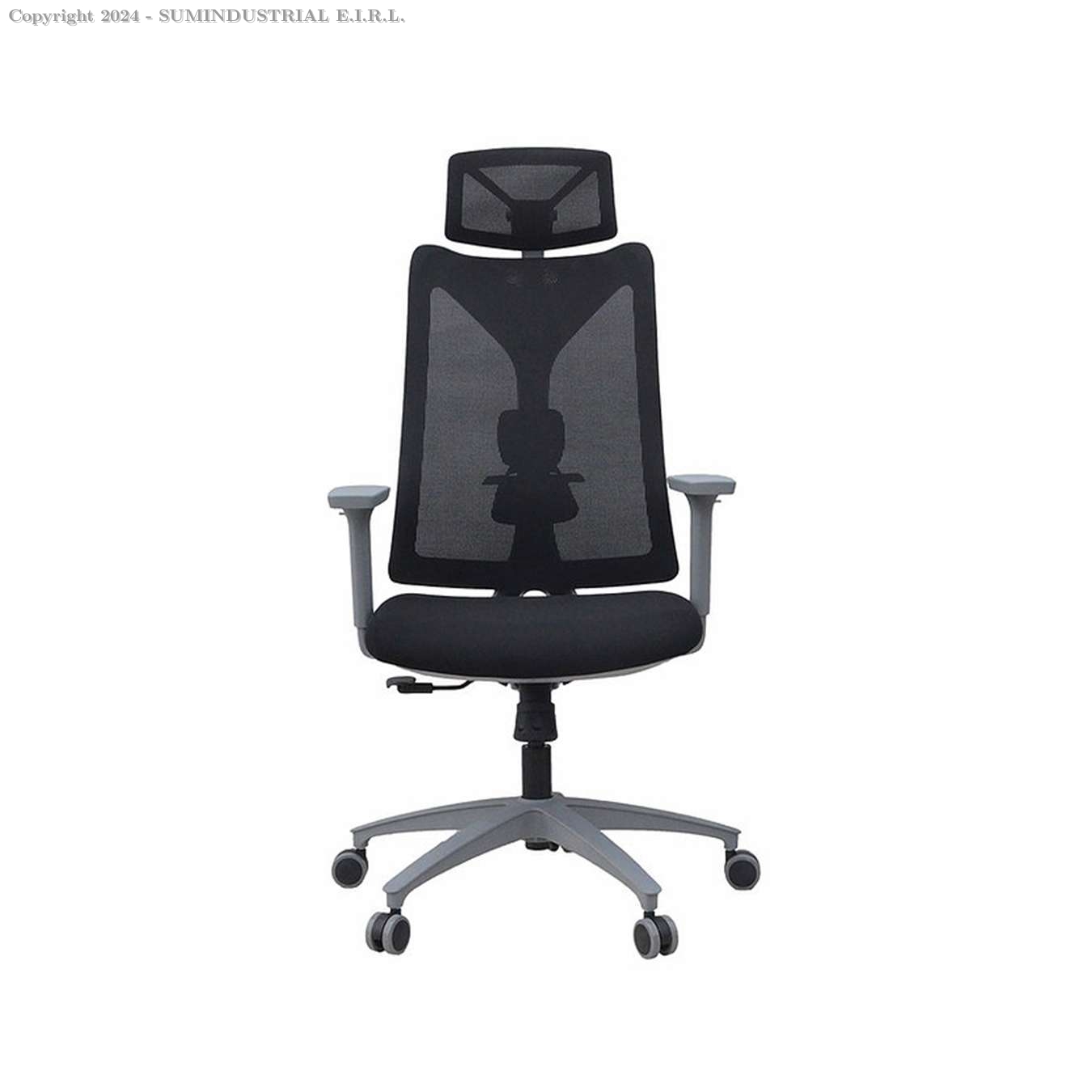 Silla Ergonomica Picasso - Color Negro
