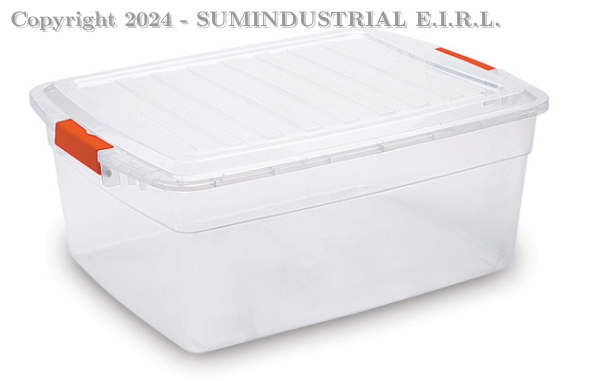 CAJA RECTANGULAR CON BROCHE #30 REY