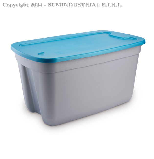 CAJA MEGAFORTE #180 B/NAT. LECHOSO T/COLOR REY CJX026000