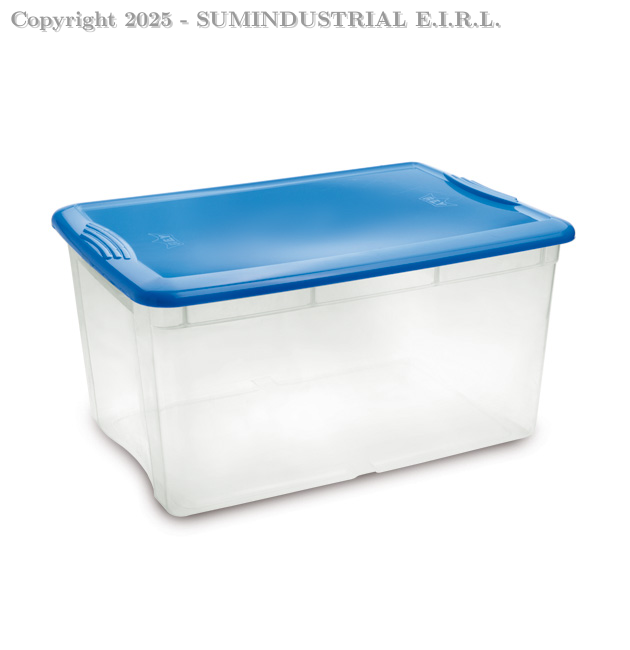 CAJA RECTANGULAR 56Lt #60 CON TAPA REY CJX008000